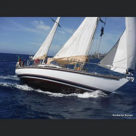 Σπίτι διακοπών Flowers Island House 5