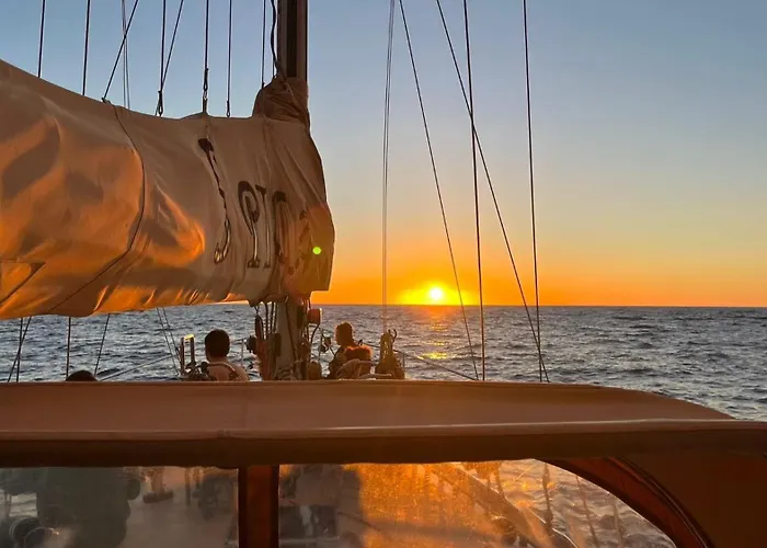 Flowers Island House 5 フンシャル