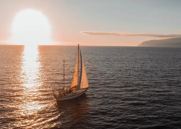 Flowers Island House 5 別荘